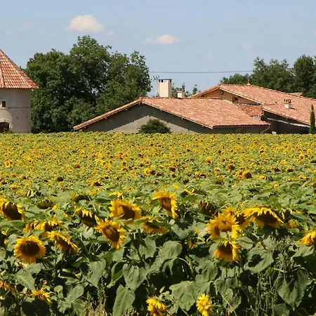 Peaceful Miller's House Near L'isle-jourdain *